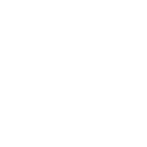 cryptocoins actu logo blanc